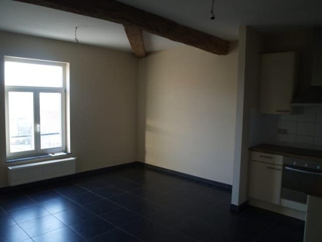Beau duplex dans ancienne ferme