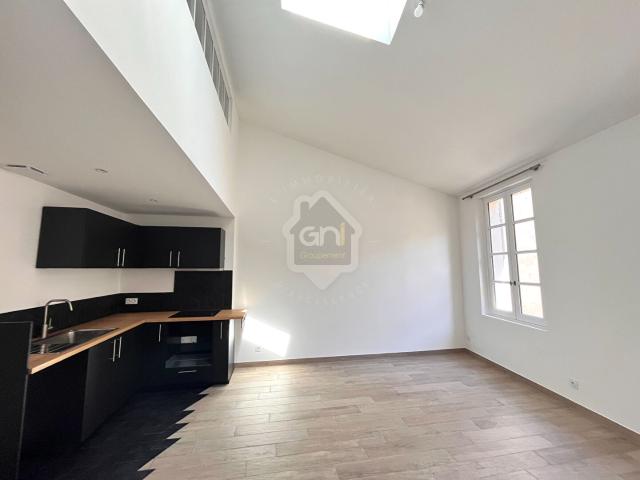 BEAU DUPLEX EN CENTRE VILLE