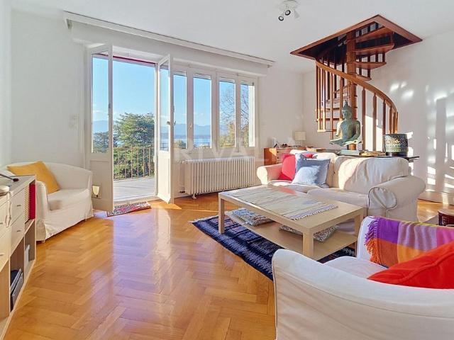 Beau duplex meublé avec accès et vue panoramique sur le lac