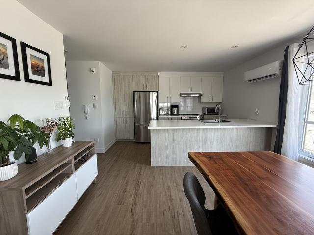 Beau Grand 3 1/2 Lumineux