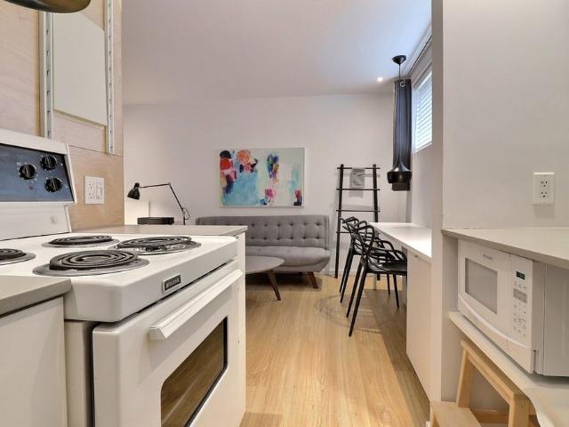Beau Studio Meublé TOUT COMPRIS Plateau