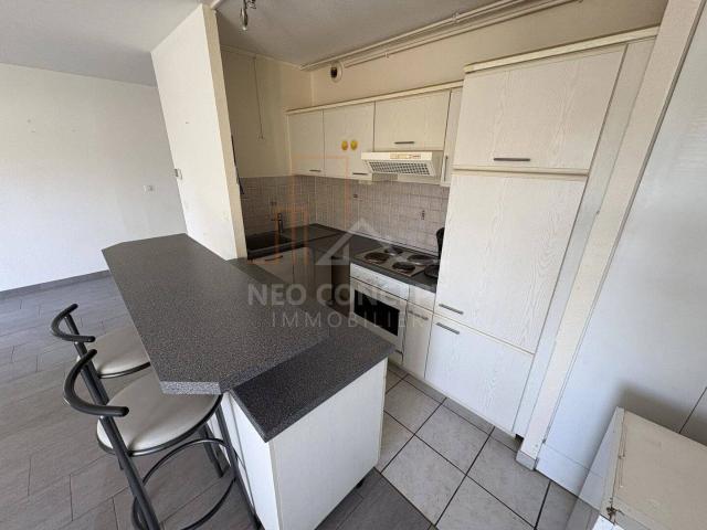 Beau 2 pièces de 50 m2 avec garage et terrasse sis La Wantzenau