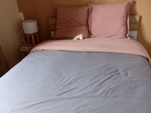 Beau 2P 31m² rénové très calme et lumineux