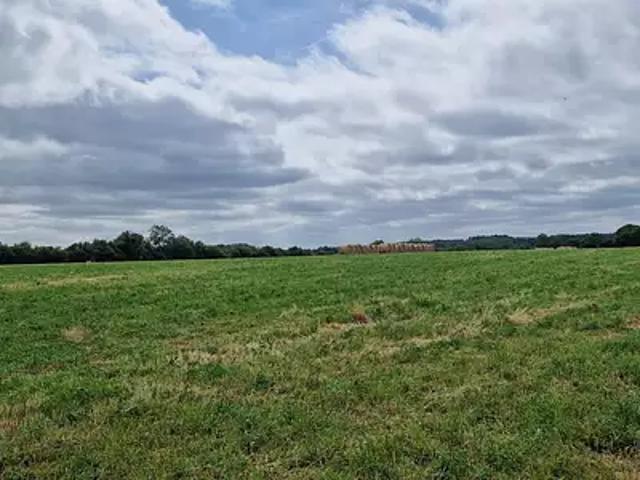 Beaulieu sur Layon 49750 Programme neuf maison neuf à vendre 5 pièces