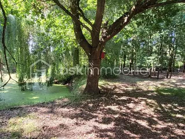 Beaune la Rolande 45340 Achat / Vente maison 7 pièces t7 terrasse cave