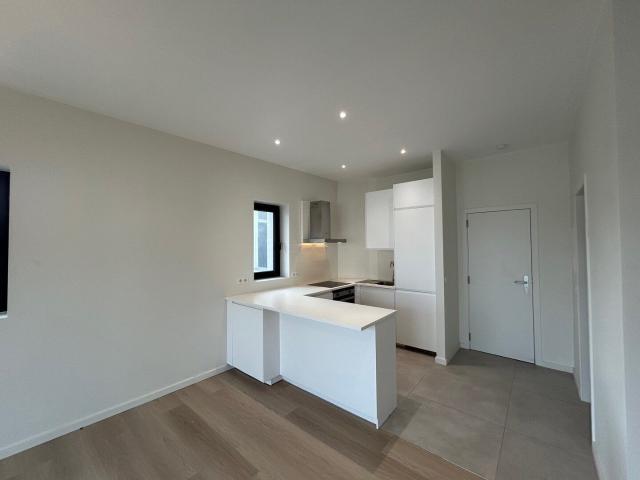 Beautifuly renovated studio for rent