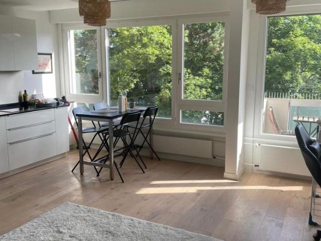 Magnificent furnished 3 room apartment