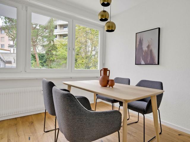 Beautiful 1 Bedroom Furnished Apartment in Am Ring, Basel, Basel Amsterdam Apartments for Rent
