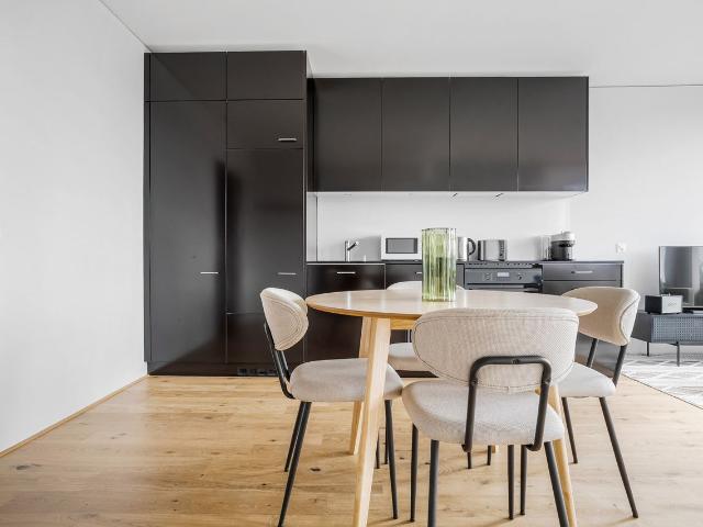 Beautiful 1 Bedroom Furnished Apartment in Basel Vorstaedte, Basel Amsterdam Apartments for Rent