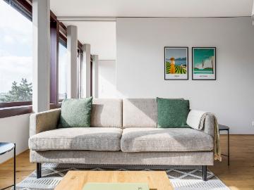 Beautiful 1 Bedroom Furnished Apartment in Basel Vorstaedte, Basel Amsterdam Apartments for Rent