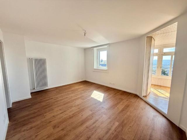 Beautiful 2.5 room apartment completely renovated – modern setting with unobstructed view