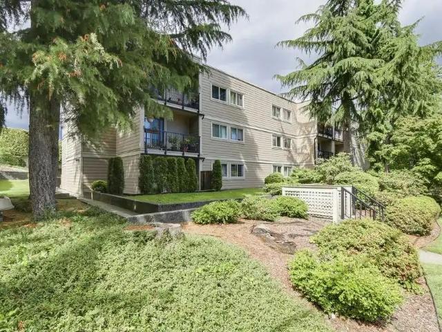 Beautiful 2 Bedroom Apartment in Coquitlam! — 309