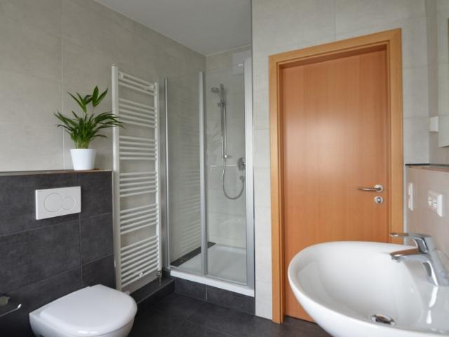 Beautiful 2 BR Penthouse. Large terrace. 15 min. Patch, Panzer