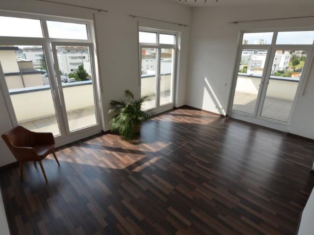 Beautiful 2 BR Penthouse. Large terrace. 15 min. Patch, Panzer