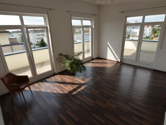 Beautiful 2 BR Penthouse. Large terrace. 15 min. Patch, Panzer