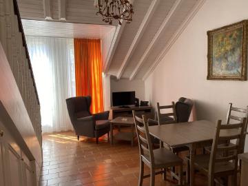 Beautiful 2 room apartment in Carouge Geneva
