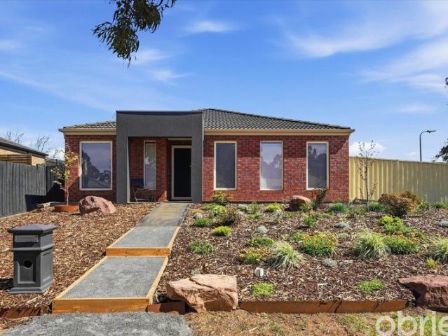 Beautiful 4 Bedroom Family Home