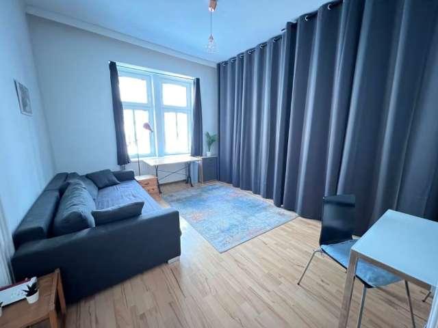 Beautiful 55m2 apartment in Anzengrubergasse / 5th district