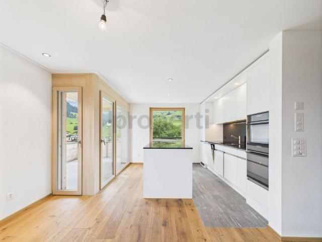 Beautiful 5.5 room new build maisonette apartment with mountain and lake views in Brigels