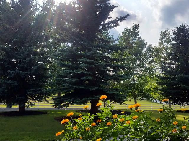 Beautiful Country Home in Bearspaw