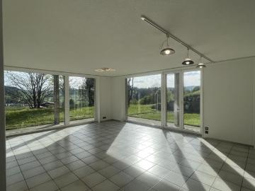 Beautiful contemporary terraced villa with south west facing garden