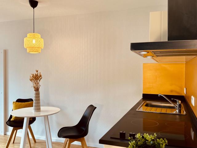 Beautiful central apartment in Neckarsulm temporary living for business/holiday guests