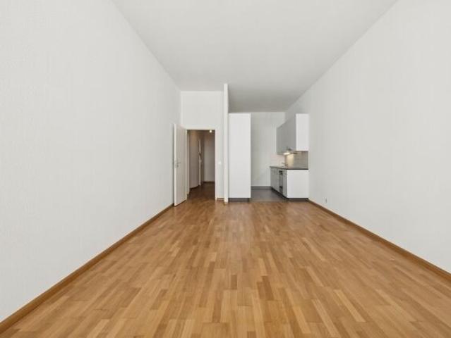 Beautiful city apartment in the Steinen is waiting for you
