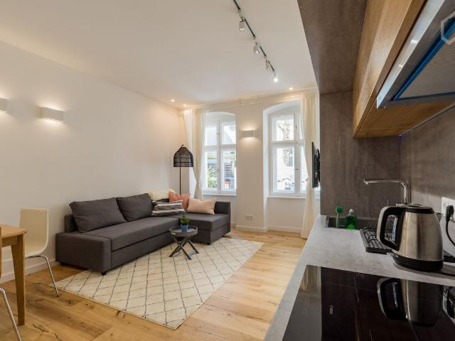 Beautiful & amazing flat, Berlin Amsterdam Apartments for Rent