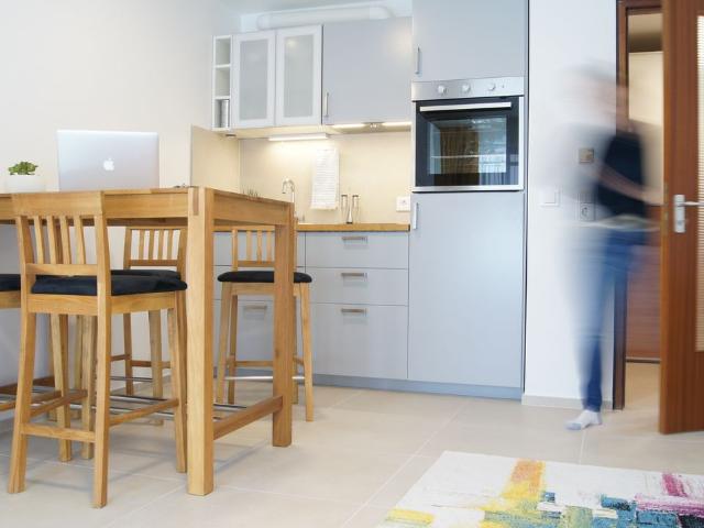 Beautiful and nice flat with underground parking in Stuttgart, Stuttgart Amsterdam Apartments for Rent