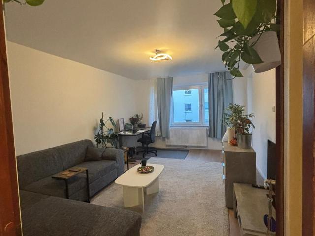 Beautiful and cozy suite