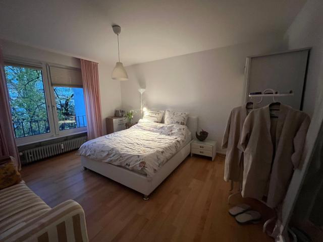 Beautiful and pretty suite