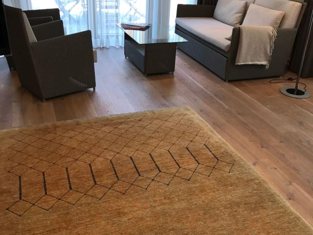 Beautiful and wonderful apartment in Cologne with large terrace and loft character, Koln Amsterdam Apartments for Rent