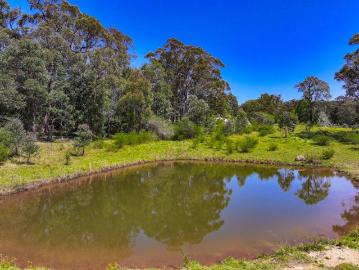 Beautiful Acreage to Build Your Dream Home on Almost 30 Acres