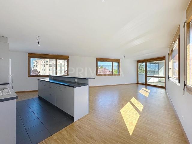 Beautiful apartment near the International Organisations