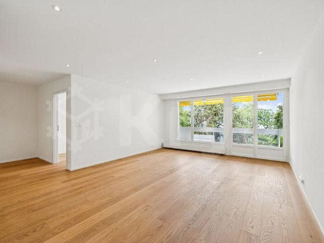 Beautiful renovated apartment on the 2nd floor with a view of Lake Geneva
