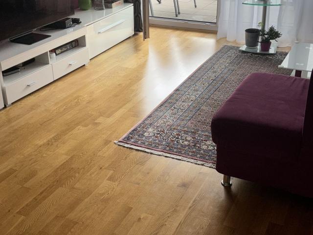 beautiful apartment for you, Ulm Amsterdam Apartments for Rent