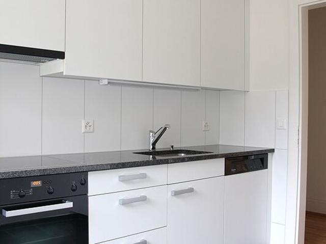 Beautiful apartment in the center of Wollishofen
