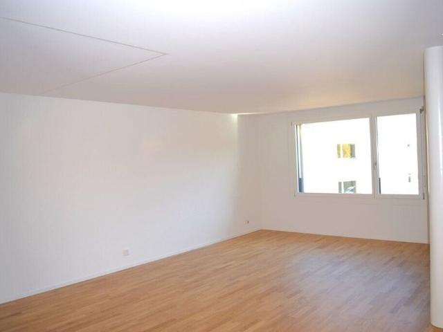 Beautiful apartment in the Nessleren district