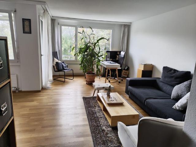 Beautiful apartment in Zumikon