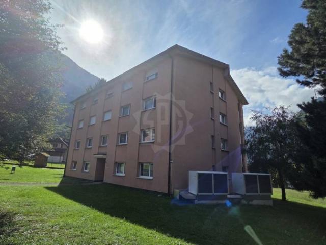 Beautiful apartment – Lavey Village