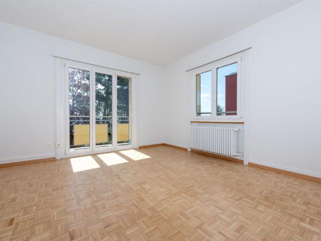 Beautiful apartment with lake view!