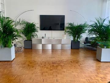 Beautiful apartment