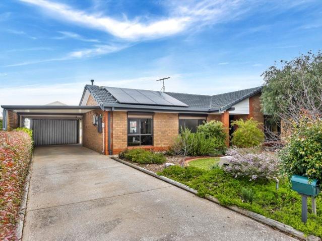 Beautiful Beginnings on Blaxland Street!