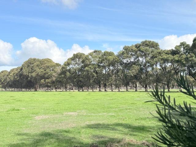 Beautiful Block with Bush and Views