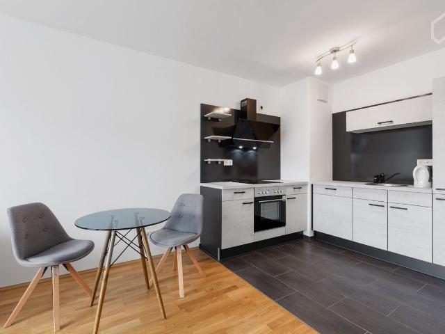 Beautiful, bright apartment in Cologne, Koln Amsterdam Apartments for Rent