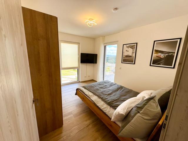 Beautiful business suite with balcony in Saarburg, stylishly furnished