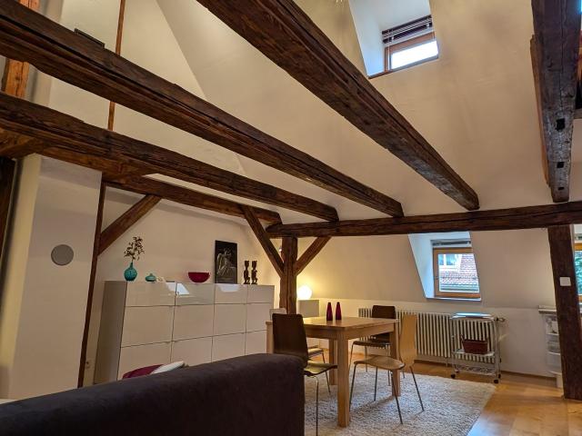 Beautiful Gallery Apartment in the Heart of Nuremberg’s Old Town, Nurnberg Amsterdam Apartments for Rent