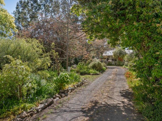 Beautiful Gardens Comfortable 3br Home Generous 1268m2 allotment Shedding