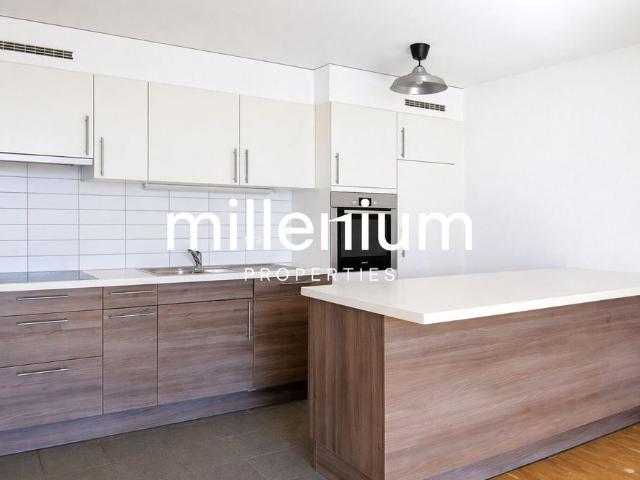 Beautiful duplex with stunning lake views in Nyon