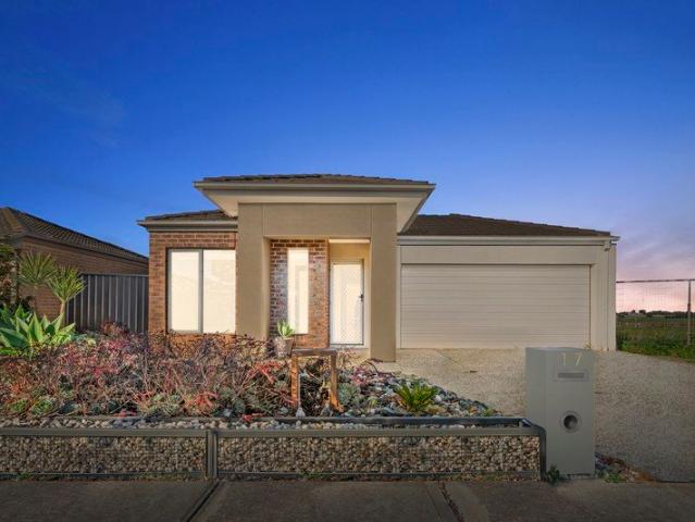 Beautiful family home